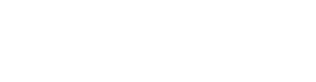 New Global United LLC